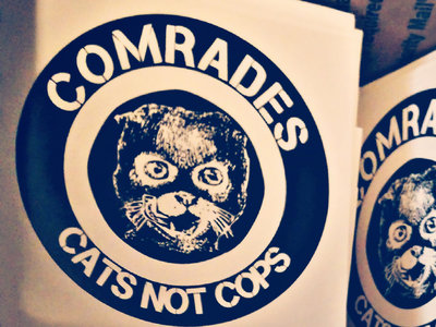 CATS NOT COPS STICKER main photo