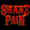 SHANE PAIN image