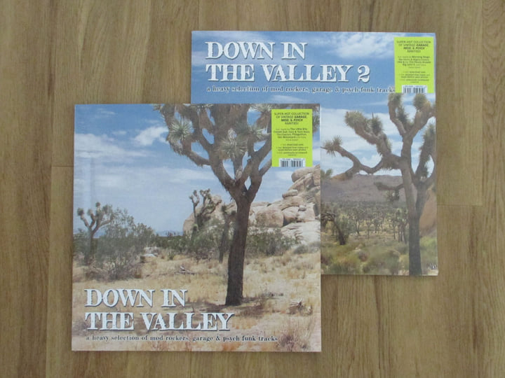 Down In The Valley | V/A | perfecttoyrecords