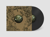Claudio Coccoluto - thedub101 / 1x12Inch