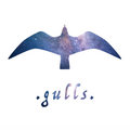 Gulls image
