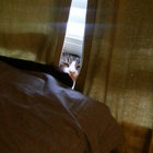 ryan_thom thumbnail