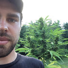 Witty_Handle thumbnail