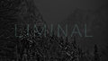 Liminal image