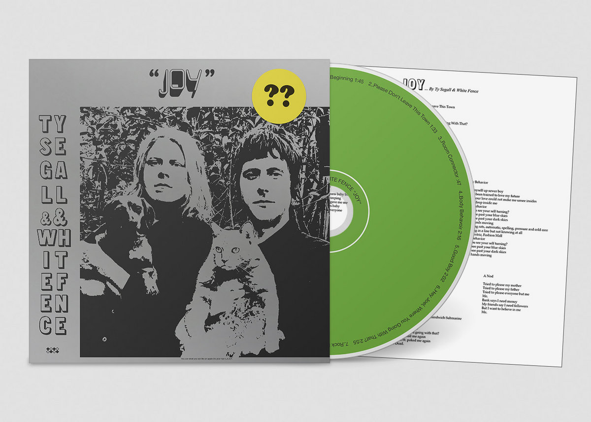 Do Your Hair Ty Segall White Fence