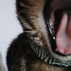_ thumbnail