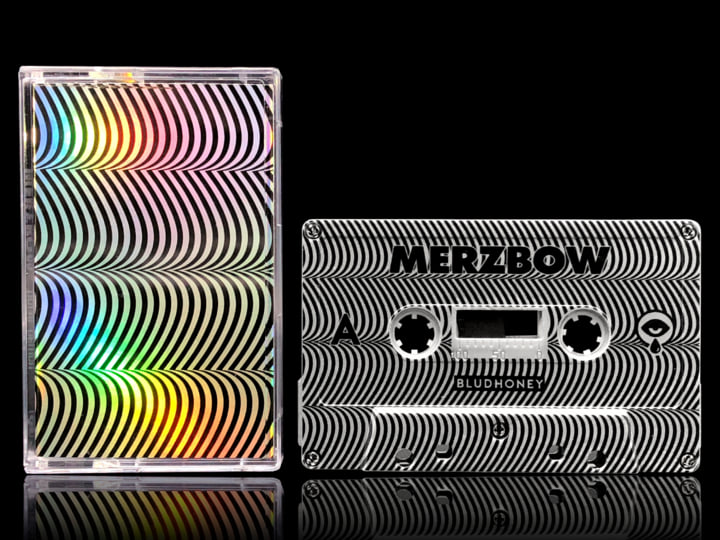 Pulse Demon | Merzbow | BLUDHONEY RECORDS