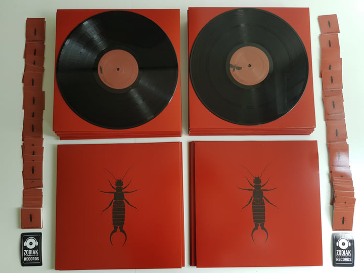 邦楽 The Earwigs 1st demo CD CD The Earwigs 1st demo CD