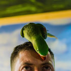 Dominik Sieradz thumbnail
