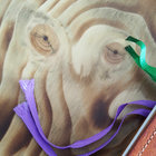 Menagerie198  thumbnail