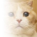 ryuuu thumbnail