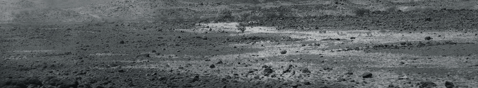 Adounia Tassirmagh Hasso Akotey