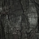 SM. thumbnail