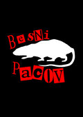 Besni Pacov image