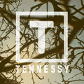 Tennessy Band image
