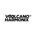 VOOLCANO HARMONIX REC. image