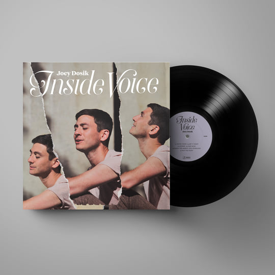 Inside Voice | Joey Dosik
