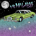 Mr. Malibu image