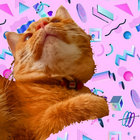 yooo_mooo thumbnail