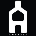 Ameniia Records image