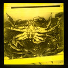 False Erotic Love  thumbnail