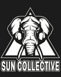 Sun Collective image