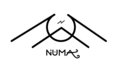 NUMA image