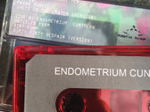 Evil Robot Ted/Endometrium Cuntplow Split Cassette photo 