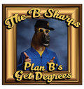 The b Sharps — Photo