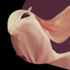 BlueShroom thumbnail