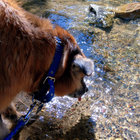 Frane's Fantastic Boatride | DJ FRANE