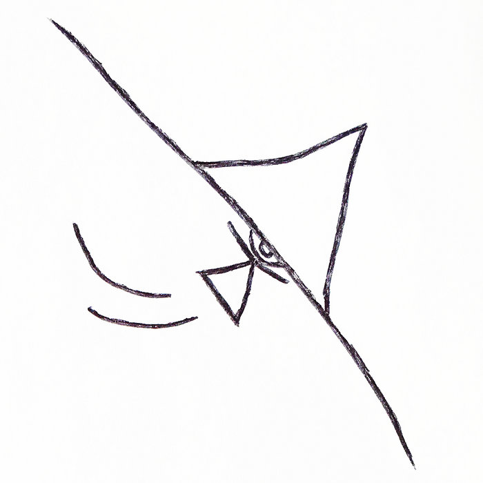 Boroky
