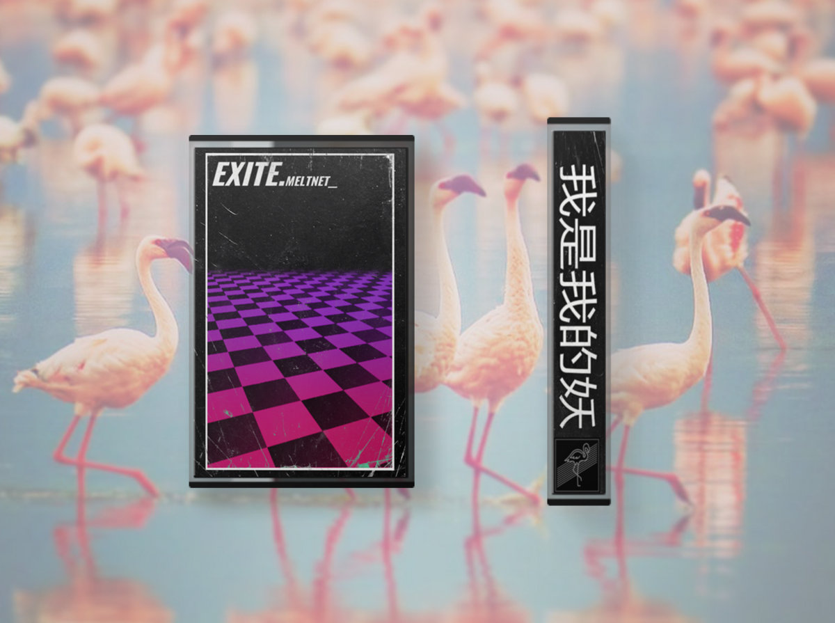 Exite. | MELTNET | My Pet Flamingo