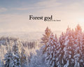 Forest god image