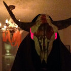 bdvrco thumbnail