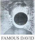 FAMOUS DAVID image