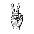 Trve Peak Records thumbnail