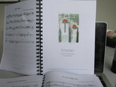 (PDF) Emerald: Songbook for the Improvising Musician photo 
