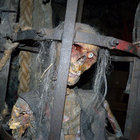 BermondseyBob thumbnail