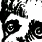 raaackets thumbnail