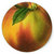 Bandcamp profile picture for @grapevine