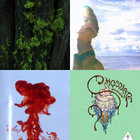 we are all gonna die in 2050 | moow