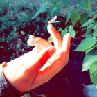 lalakitten thumbnail