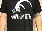 Hawkmoth Ibex Skull photo 