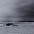 Lifeless — Photo