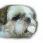 vicl23083 thumbnail