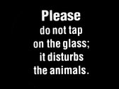 Susceptible To Extinction/Please Don't Tap On The Glass Shirt photo 