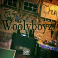 Woolyboyz image