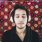 jonathonseagull thumbnail