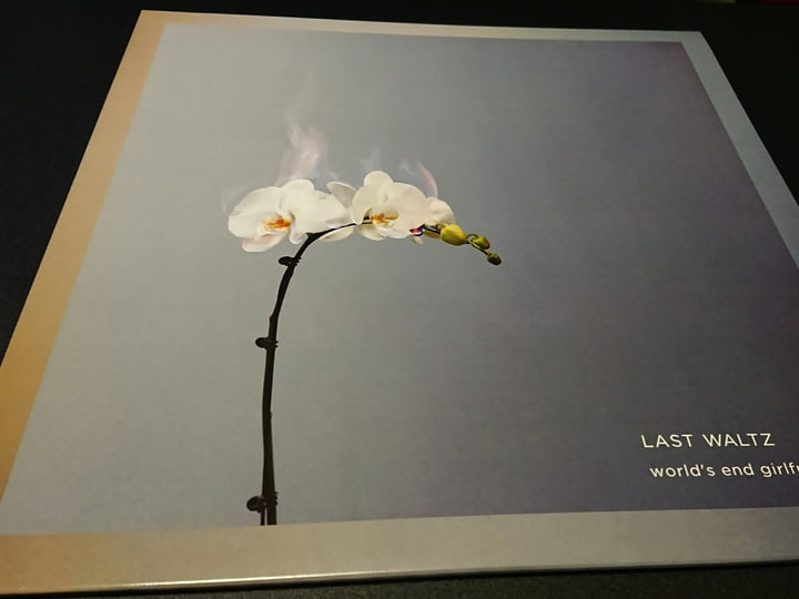 LAST WALTZ | world's end girlfriend | Virgin Babylon Records